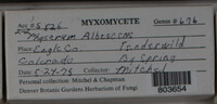 Image Associated With the Occurence